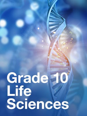 Grade 10 Life Sciences